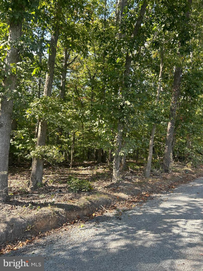 COUNTRYSIDE LN, LIGNUM, Virginia 22726, ,Land,For sale,COUNTRYSIDE LN,VACU2011752 MLS # VACU2011752