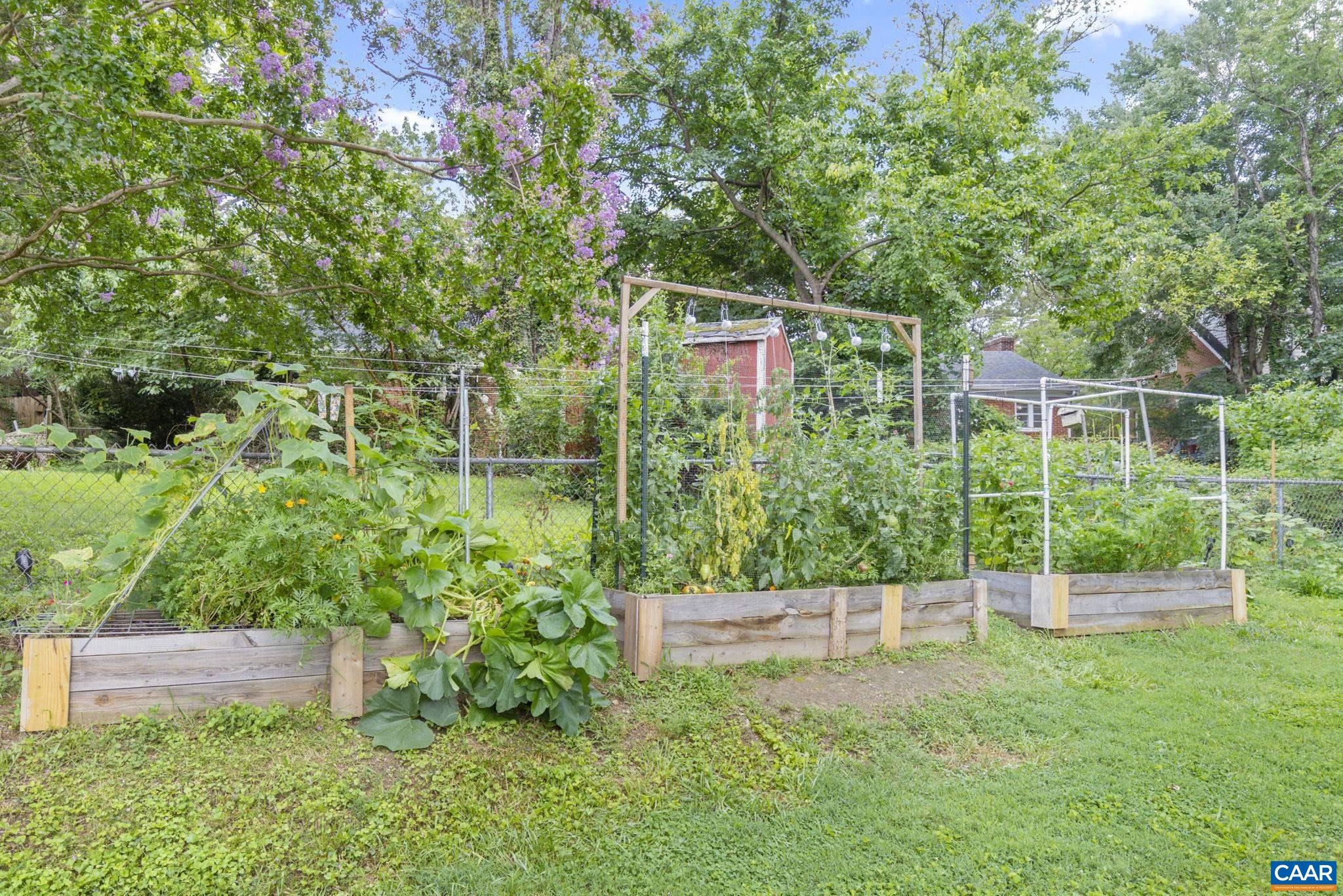 1104 FOREST HILLS AVE, CHARLOTTESVILLE, Virginia 22903, 4 Bedrooms Bedrooms, ,1 BathroomBathrooms,Residential,1104 FOREST HILLS AVE,669610 MLS # 669610