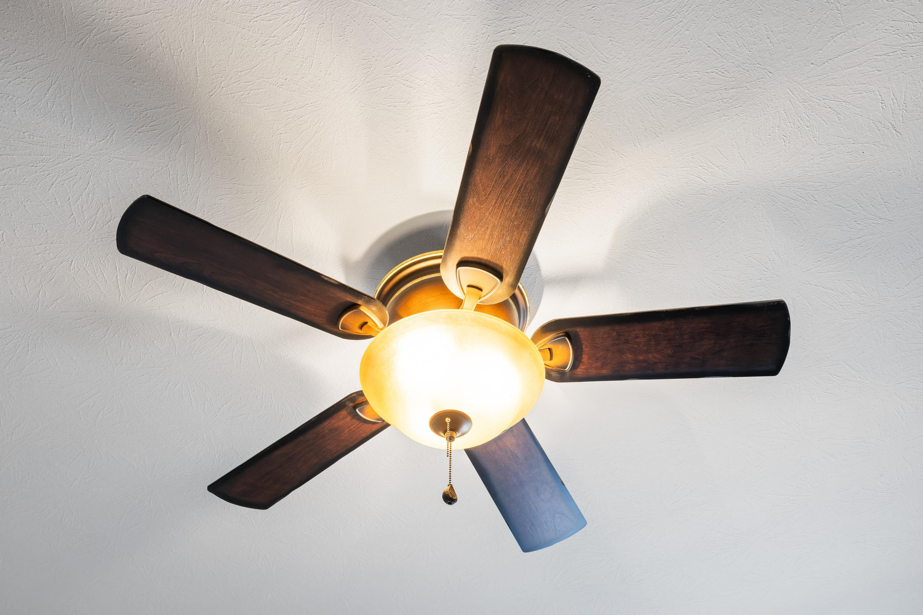 51 THOROUGHBRED CIR, LEXINGTON, Virginia 24450, 3 Bedrooms Bedrooms, ,2 BathroomsBathrooms,Residential,51 THOROUGHBRED CIR,669687 MLS # 669687 51 THOROUGHBRED CIR, LEXINGTON, Virginia 24450, 3 Bedrooms Bedrooms, ,2 BathroomsBathrooms,Residential,51 THOROUGHBRED CIR,669687 MLS # 669687