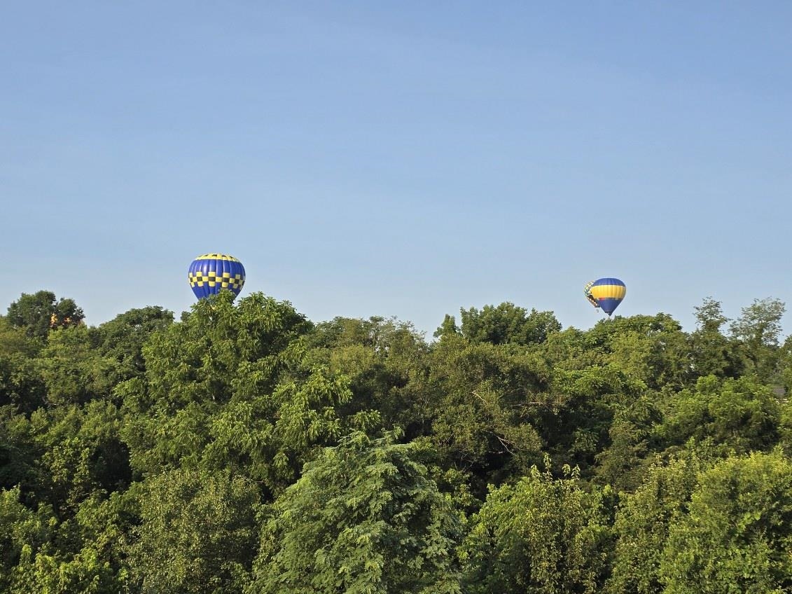 51 THOROUGHBRED CIR, LEXINGTON, Virginia 24450, 3 Bedrooms Bedrooms, ,2 BathroomsBathrooms,Residential,51 THOROUGHBRED CIR,669687 MLS # 669687 51 THOROUGHBRED CIR, LEXINGTON, Virginia 24450, 3 Bedrooms Bedrooms, ,2 BathroomsBathrooms,Residential,51 THOROUGHBRED CIR,669687 MLS # 669687