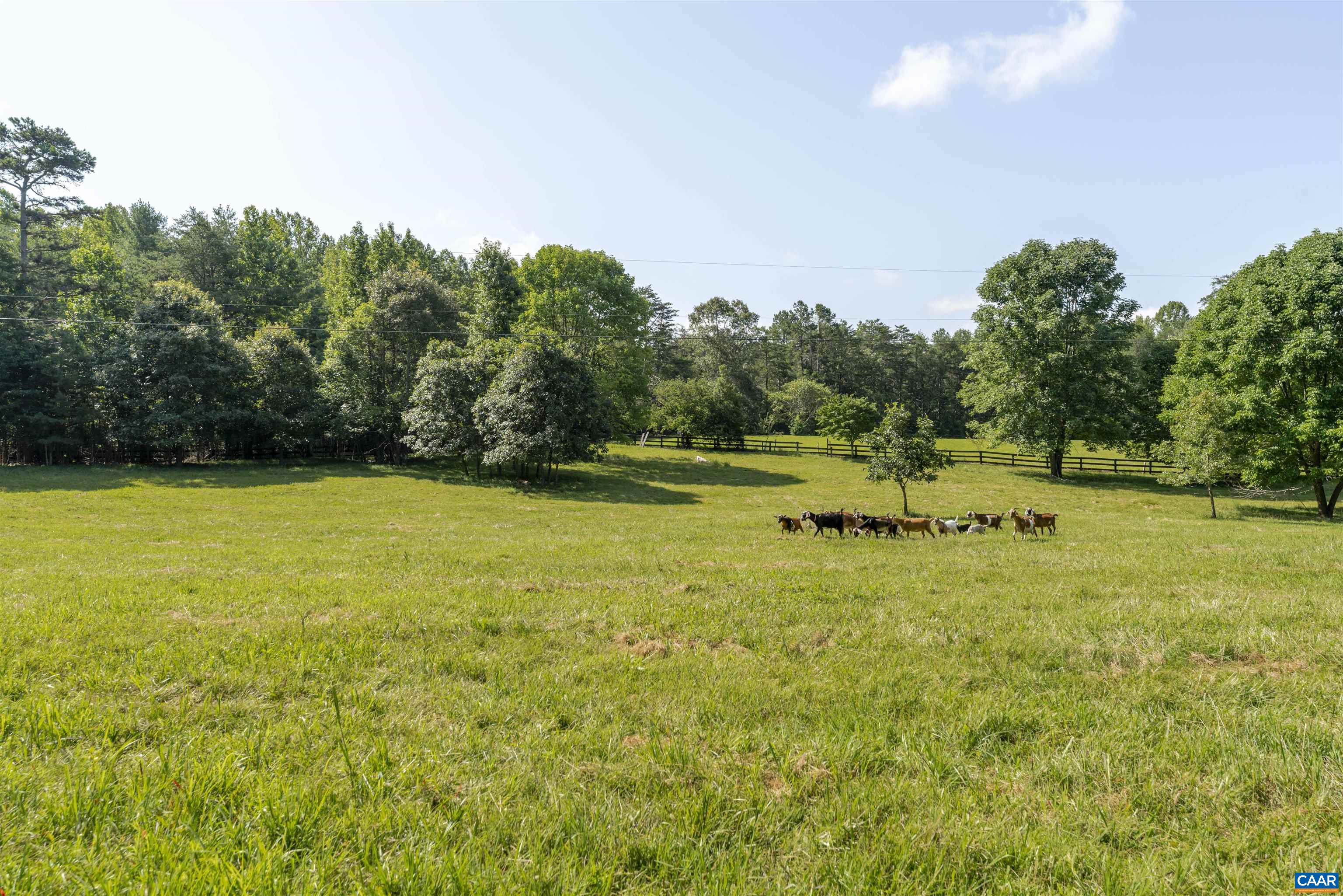 410 LAUGHTON LN, KENTS STORE, Virginia 23084, 3 Bedrooms Bedrooms, ,2 BathroomsBathrooms,Residential,VENABLE CREEK FARM,410 LAUGHTON LN,669691 MLS # 669691