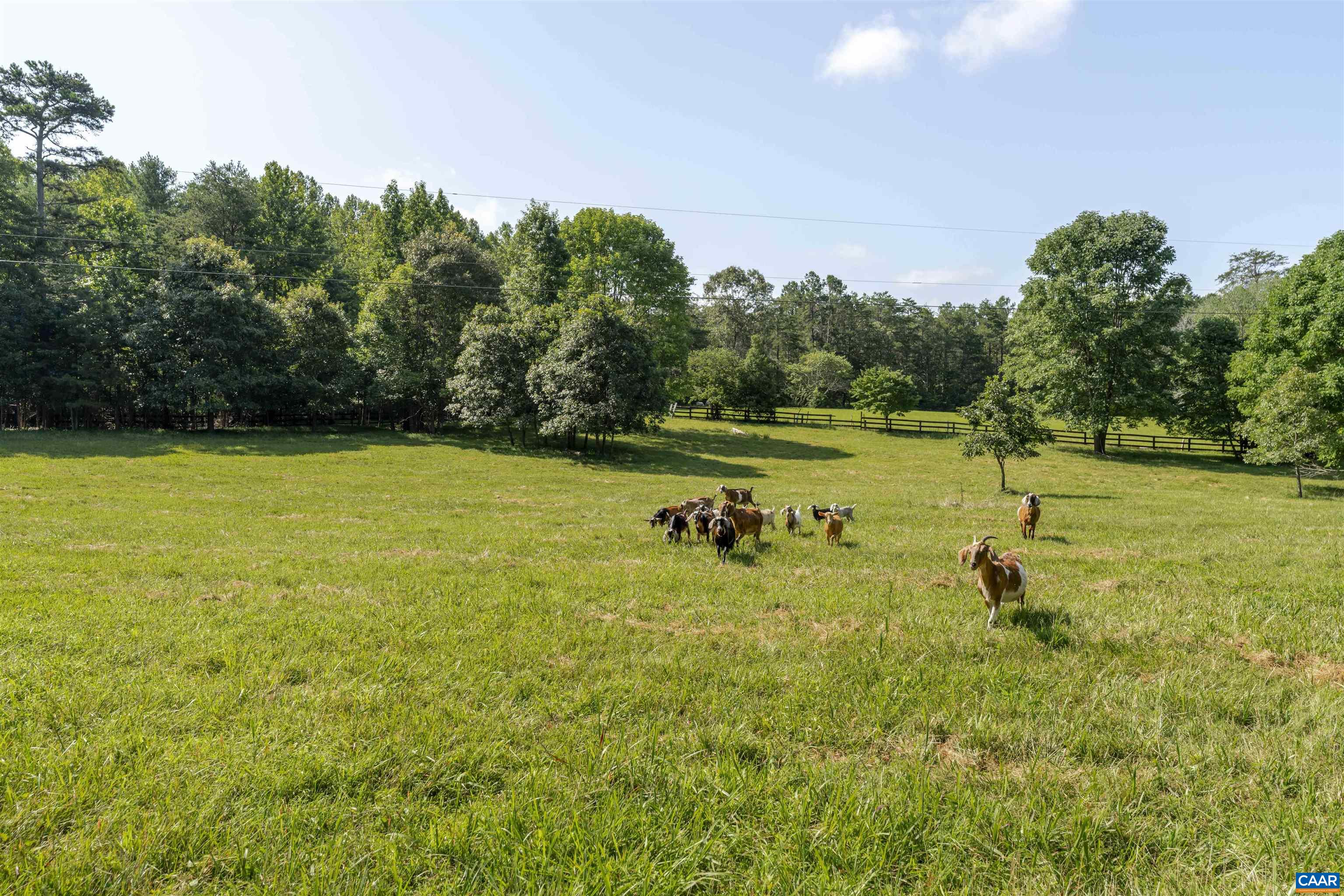 410 LAUGHTON LN, KENTS STORE, Virginia 23084, 3 Bedrooms Bedrooms, ,2 BathroomsBathrooms,Residential,VENABLE CREEK FARM,410 LAUGHTON LN,669691 MLS # 669691