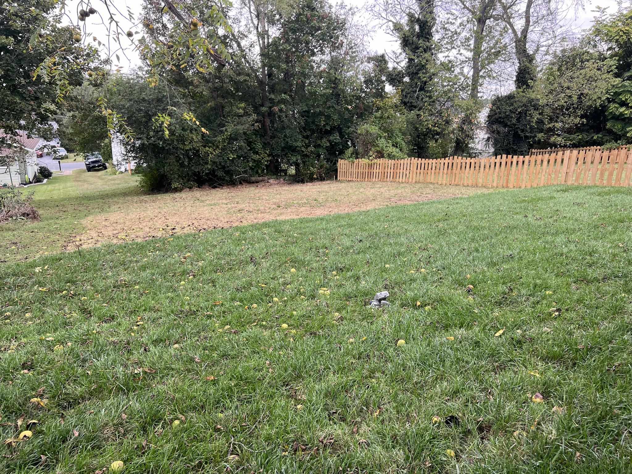 216 THOMPSON ST, STAUNTON, Virginia 24401, 3 Bedrooms Bedrooms, ,2 BathroomsBathrooms,Residential,216 THOMPSON ST,669692 MLS # 669692 216 THOMPSON ST, STAUNTON, Virginia 24401, 3 Bedrooms Bedrooms, ,2 BathroomsBathrooms,Residential,216 THOMPSON ST,669692 MLS # 669692