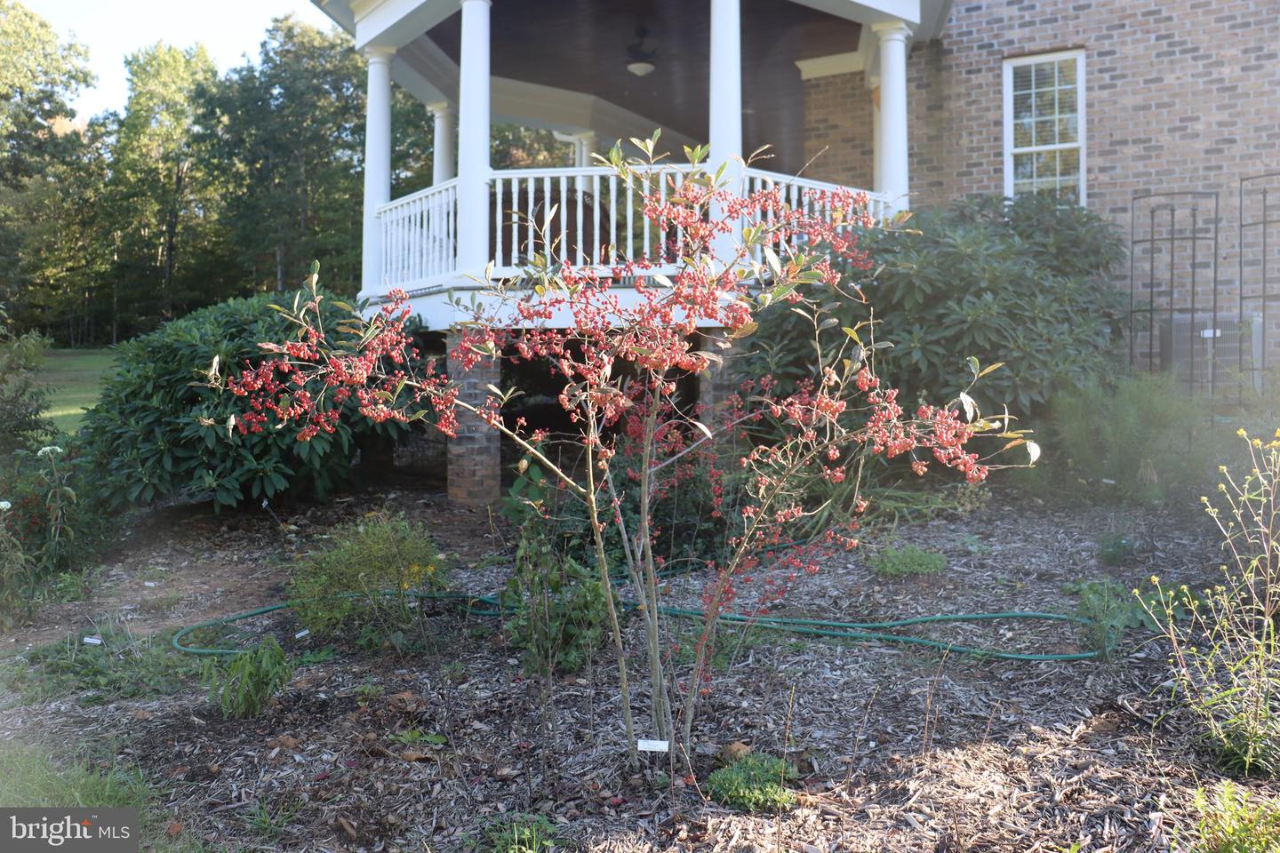 1185 BELLE MEADE RD, BUMPASS, Virginia 23024, 4 Bedrooms Bedrooms, ,4 BathroomsBathrooms,Residential,For sale,1185 BELLE MEADE RD,VALA2008668 MLS # VALA2008668