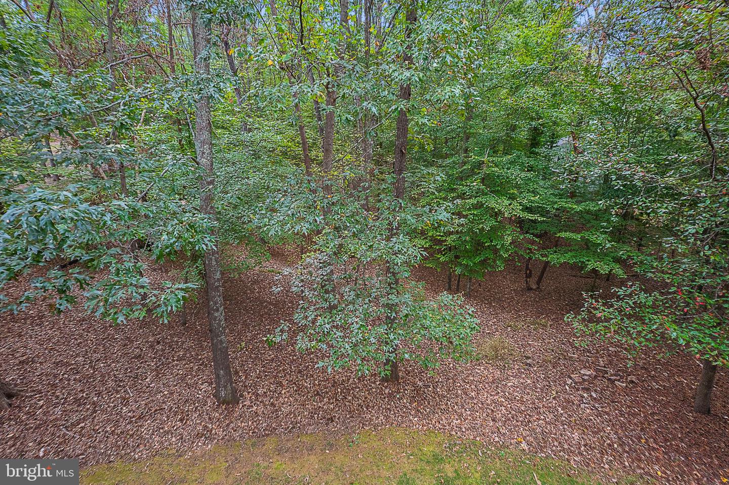 321 RAFT CV, STAFFORD, Virginia 22554, 5 Bedrooms Bedrooms, ,3 BathroomsBathrooms,Residential,For sale,321 RAFT CV,VAST2043144 MLS # VAST2043144