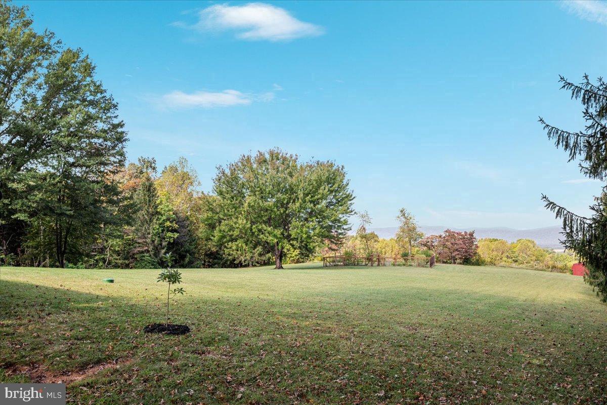 154 SKYLINE FOREST DR, FRONT ROYAL, Virginia 22630, 3 Bedrooms Bedrooms, 6 Rooms Rooms,2 BathroomsBathrooms,Residential,For sale,154 SKYLINE FOREST DR,VAWR2012464 MLS # VAWR2012464