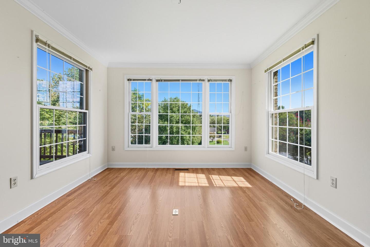 4 CONSTITUTION AVE, LURAY, Virginia 22835, 3 Bedrooms Bedrooms, ,2 BathroomsBathrooms,Residential,For sale,4 CONSTITUTION AVE,VAPA2005442 MLS # VAPA2005442