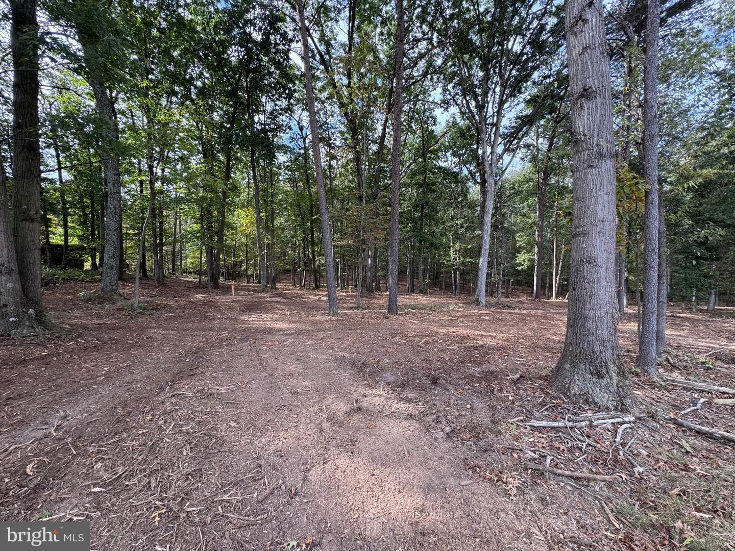 LOT 6 DICKS HOLLOW, WINCHESTER, Virginia 22603, 3 Bedrooms Bedrooms, ,2 BathroomsBathrooms,Residential,For sale,LOT 6 DICKS HOLLOW,VAFV2037200 MLS # VAFV2037200