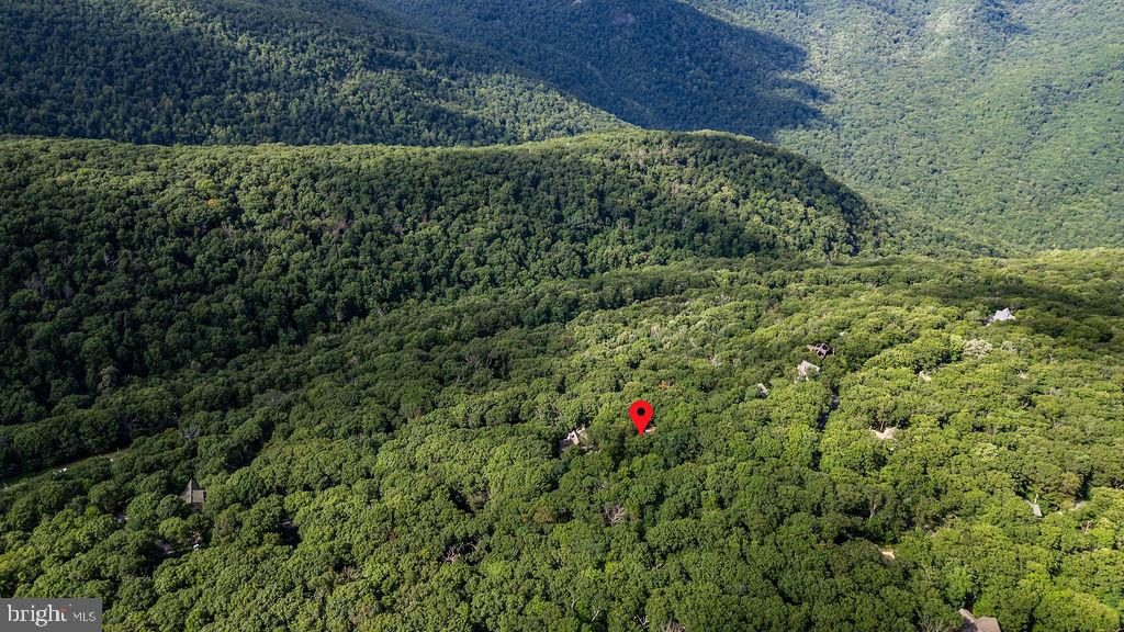 589 PEDLARS EDGE DR, WINTERGREEN, Virginia 22967, 4 Bedrooms Bedrooms, 7 Rooms Rooms,2 BathroomsBathrooms,Residential,For sale,589 PEDLARS EDGE DR,VANL2000592 MLS # VANL2000592