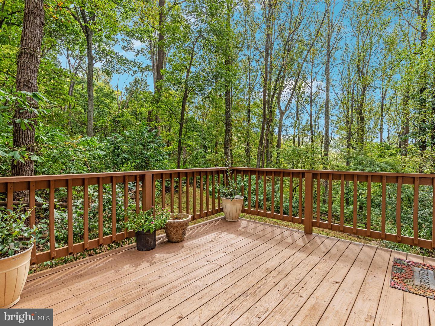 175 SCARLET TANAGER LN, FRONT ROYAL, Virginia 22630, 4 Bedrooms Bedrooms, ,2 BathroomsBathrooms,Residential,For sale,175 SCARLET TANAGER LN,VAWR2012486 MLS # VAWR2012486