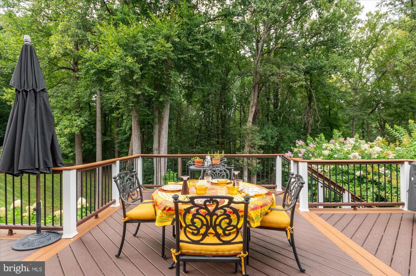 11308 STONEHOUSE PL, POTOMAC FALLS, Virginia 20165, 6 Bedrooms Bedrooms, 12 Rooms Rooms,5 BathroomsBathrooms,Residential,For sale,11308 STONEHOUSE PL,VALO2108290 MLS # VALO2108290
