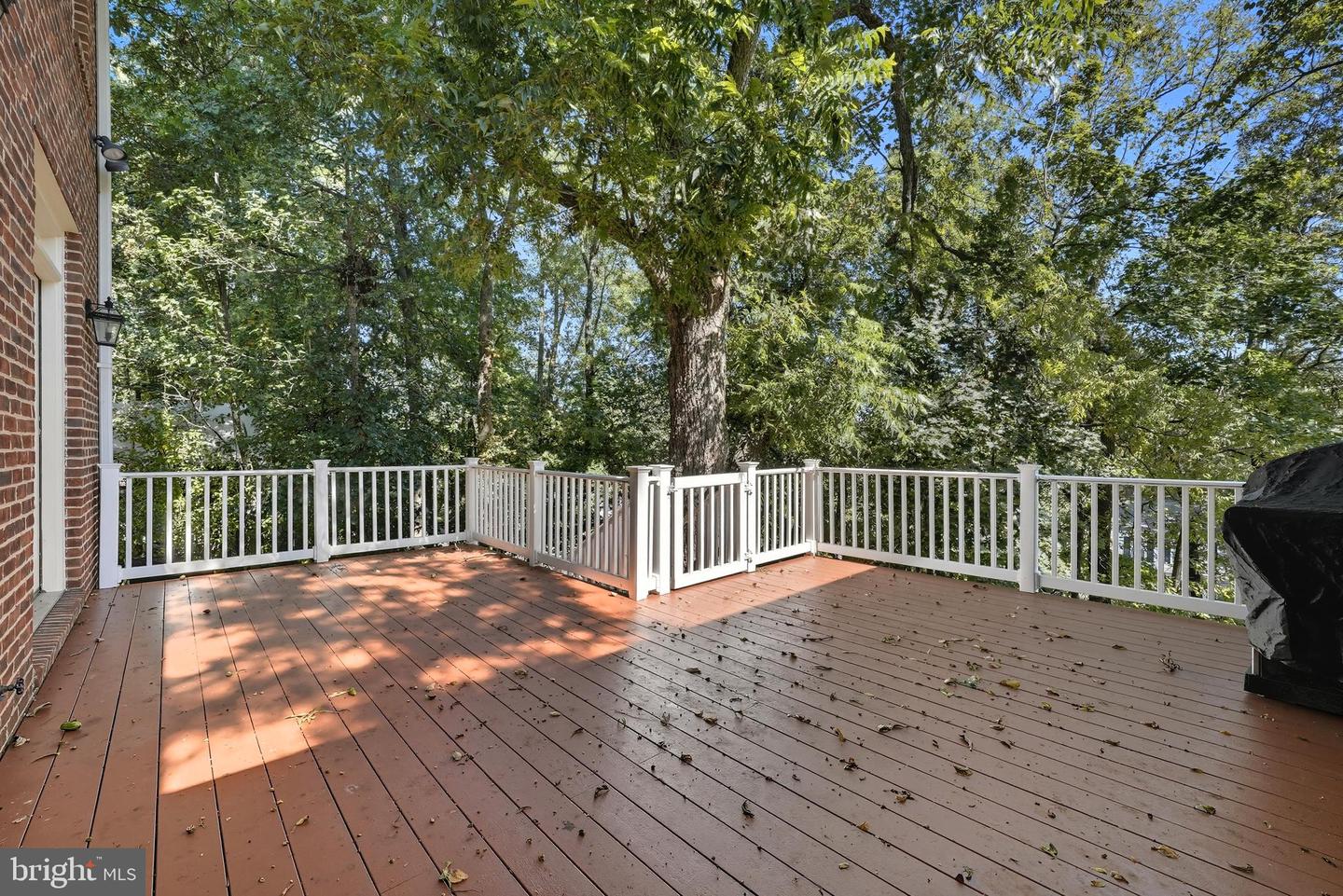 2911 EDDINGTON TER, ALEXANDRIA, Virginia 22302, 4 Bedrooms Bedrooms, ,3 BathroomsBathrooms,Residential,For sale,2911 EDDINGTON TER,VAAX2050042 MLS # VAAX2050042