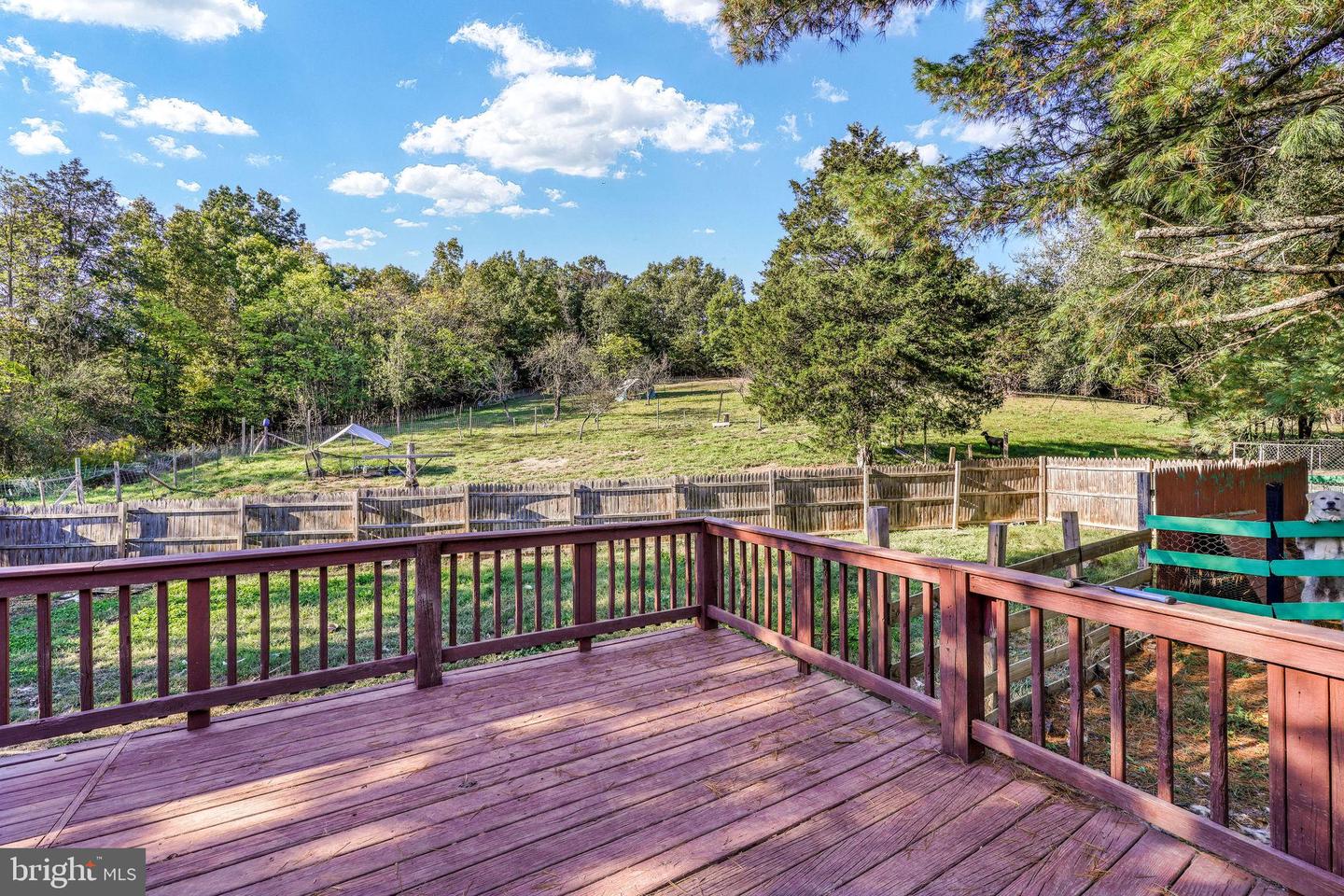 100 WOLFS LN, FORT VALLEY, Virginia 22652, 3 Bedrooms Bedrooms, ,3 BathroomsBathrooms,Farm,For sale,100 WOLFS LN,VASH2012698 MLS # VASH2012698 100 WOLFS LN, FORT VALLEY, Virginia 22652, 3 Bedrooms Bedrooms, ,3 BathroomsBathrooms,Farm,For sale,100 WOLFS LN,VASH2012698 MLS # VASH2012698