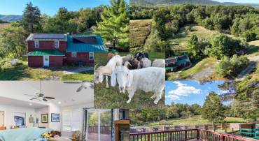 100 WOLFS LN, FORT VALLEY, Virginia 22652, 3 Bedrooms Bedrooms, ,3 BathroomsBathrooms,Farm,For sale,100 WOLFS LN,VASH2012698 MLS # VASH2012698