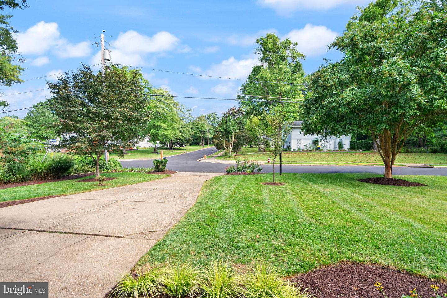 2407 LISBON LN, ALEXANDRIA, Virginia 22306, 4 Bedrooms Bedrooms, ,2 BathroomsBathrooms,Residential,For sale,2407 LISBON LN,VAFX2269504 MLS # VAFX2269504