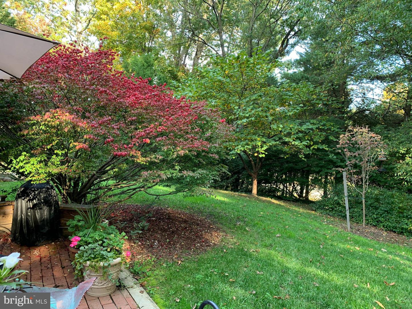 9101 RURAL PLAINS PL, SPRINGFIELD, Virginia 22153, 4 Bedrooms Bedrooms, ,2 BathroomsBathrooms,Residential,For sale,9101 RURAL PLAINS PL,VAFX2269522 MLS # VAFX2269522