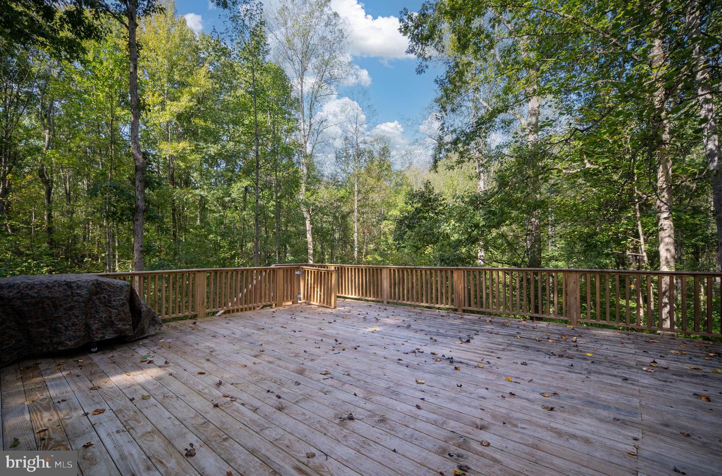 8610 ENGLEMAN LN, SPOTSYLVANIA, Virginia 22551, 4 Bedrooms Bedrooms, ,2 BathroomsBathrooms,Residential,For sale,8610 ENGLEMAN LN,VASP2036528 MLS # VASP2036528