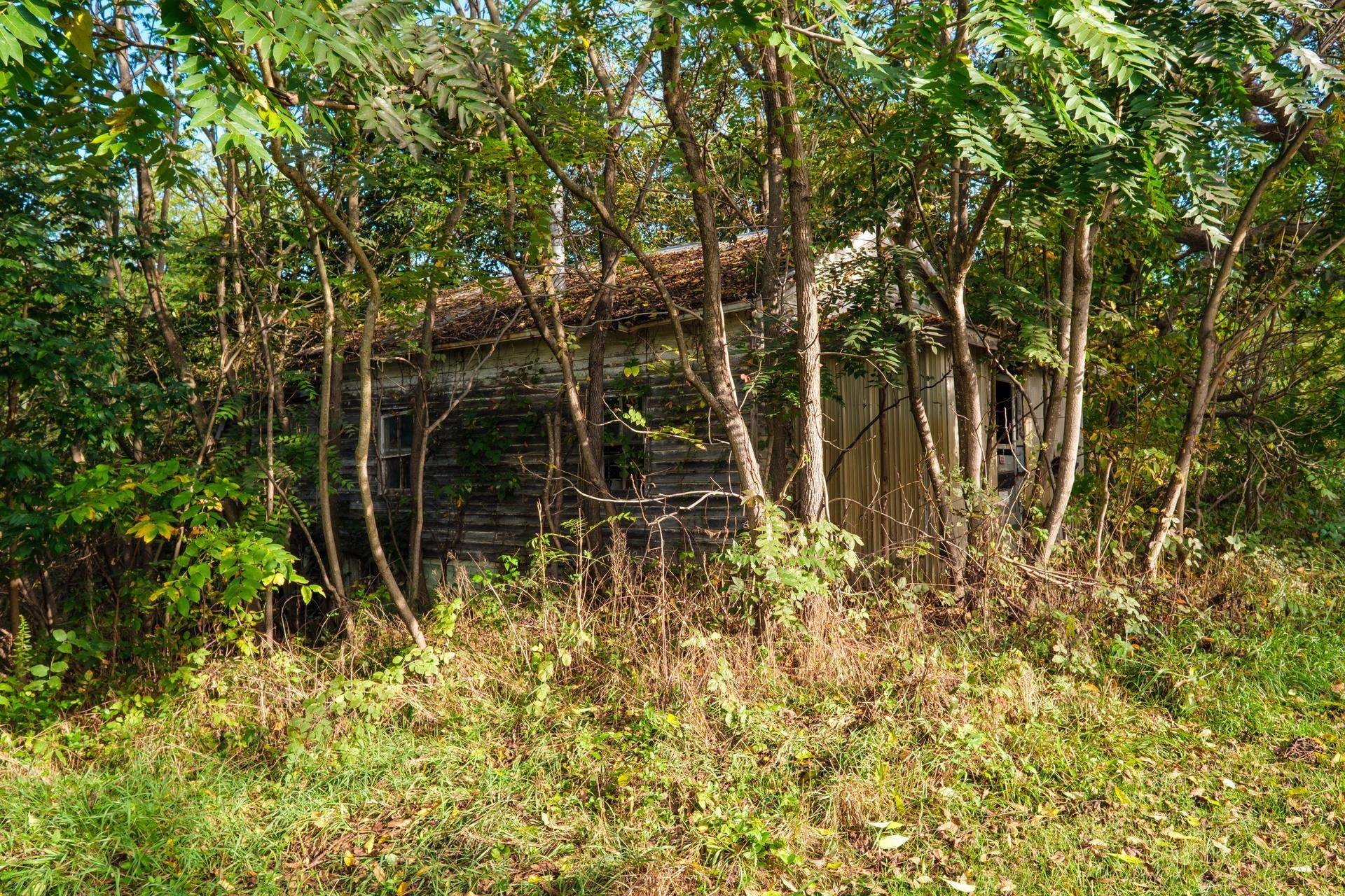 15141 NORTH MOUNTAIN RD, BROADWAY, Virginia 22815, ,Land,15141 NORTH MOUNTAIN RD,669713 MLS # 669713