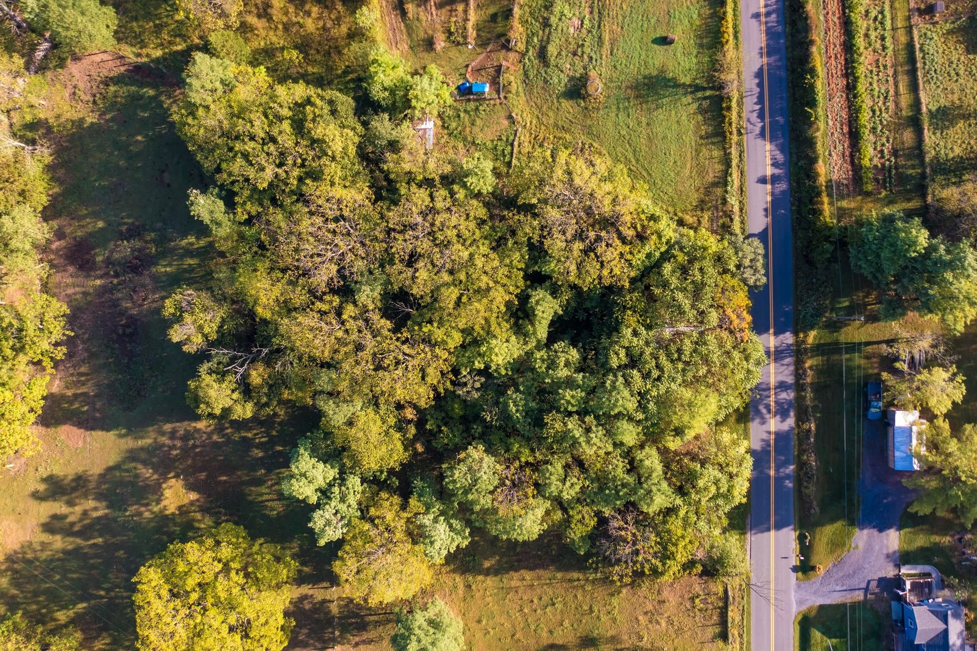15141 NORTH MOUNTAIN RD, BROADWAY, Virginia 22815, ,Land,15141 NORTH MOUNTAIN RD,669713 MLS # 669713