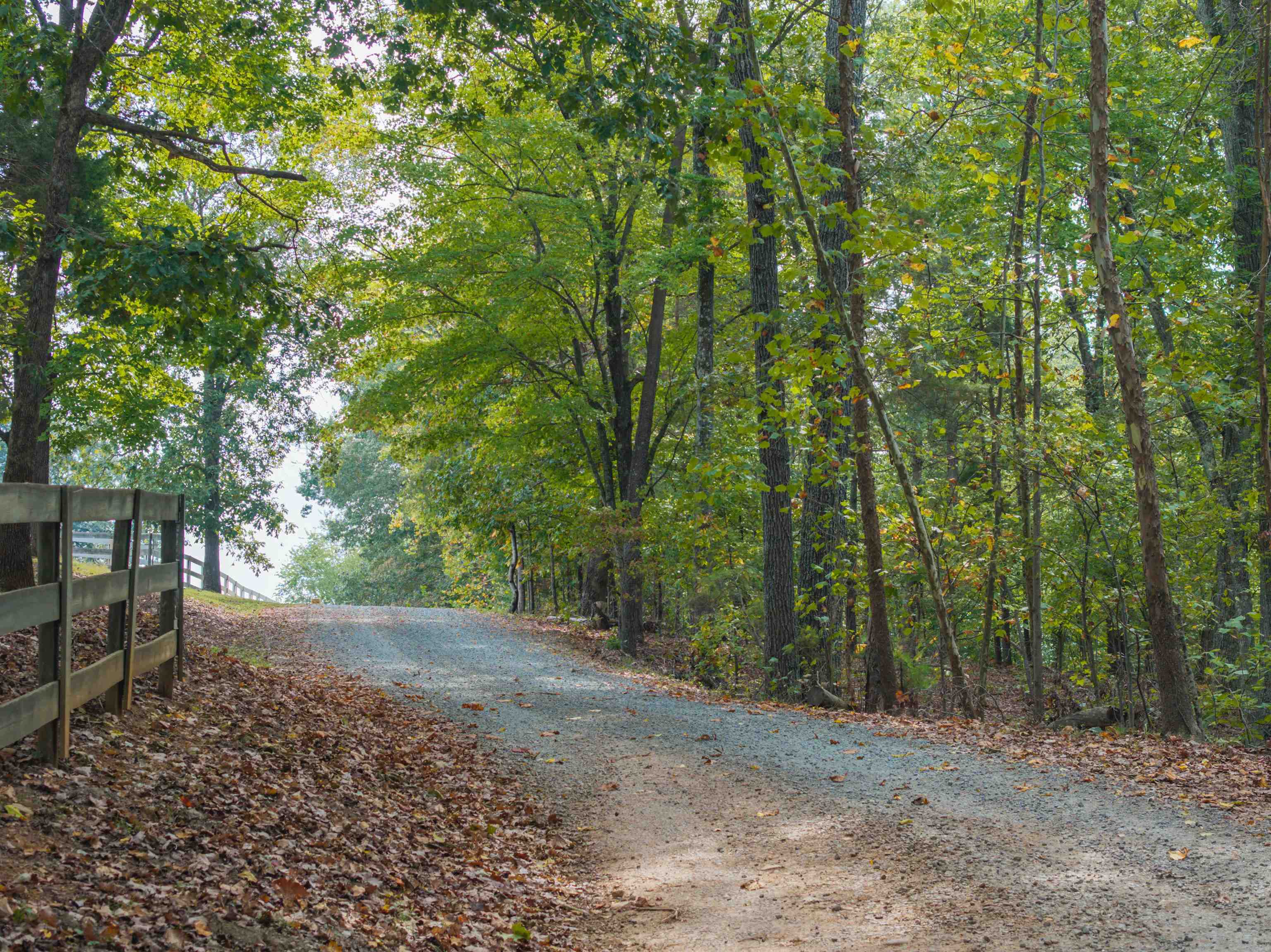 TBD JONES OVERLOOK, HOWARDSVILLE, Virginia 24562, ,Farm,TBD JONES OVERLOOK,669732 MLS # 669732