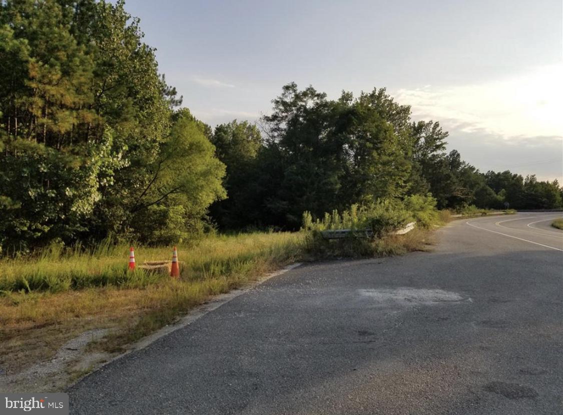 00 INDUSTRIAL DRIVE, MILFORD, Virginia 22514, ,Land,For sale,00 INDUSTRIAL DRIVE,VACV2008946 MLS # VACV2008946