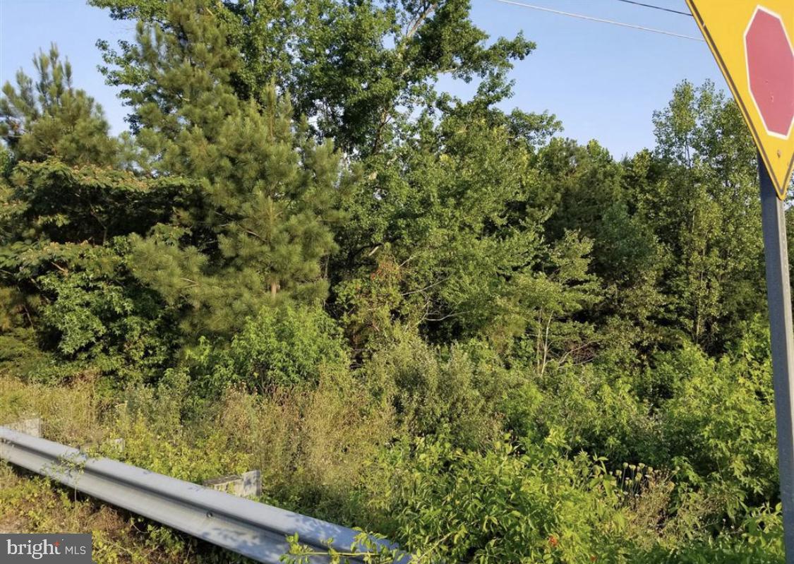 00 INDUSTRIAL DRIVE, MILFORD, Virginia 22514, ,Land,For sale,00 INDUSTRIAL DRIVE,VACV2008946 MLS # VACV2008946