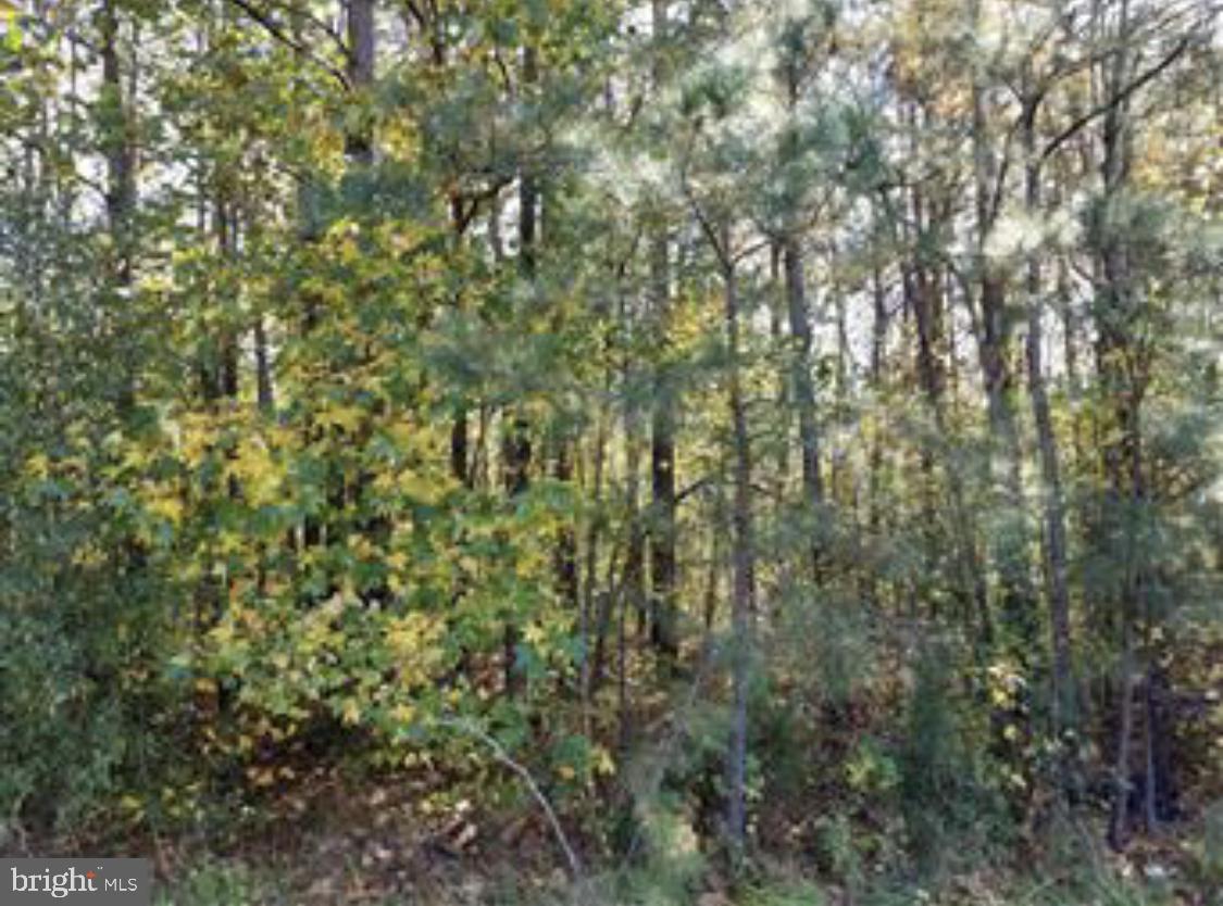00 INDUSTRIAL DRIVE, MILFORD, Virginia 22514, ,Land,For sale,00 INDUSTRIAL DRIVE,VACV2008946 MLS # VACV2008946