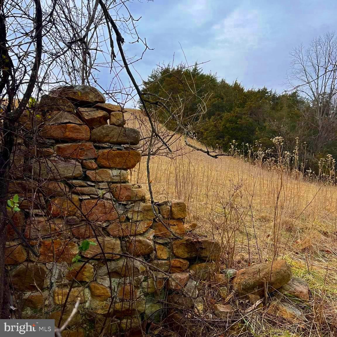 4 SHULER LN, STANLEY, Virginia 22851, ,Land,For sale,4 SHULER LN,VAPA2005452 MLS # VAPA2005452