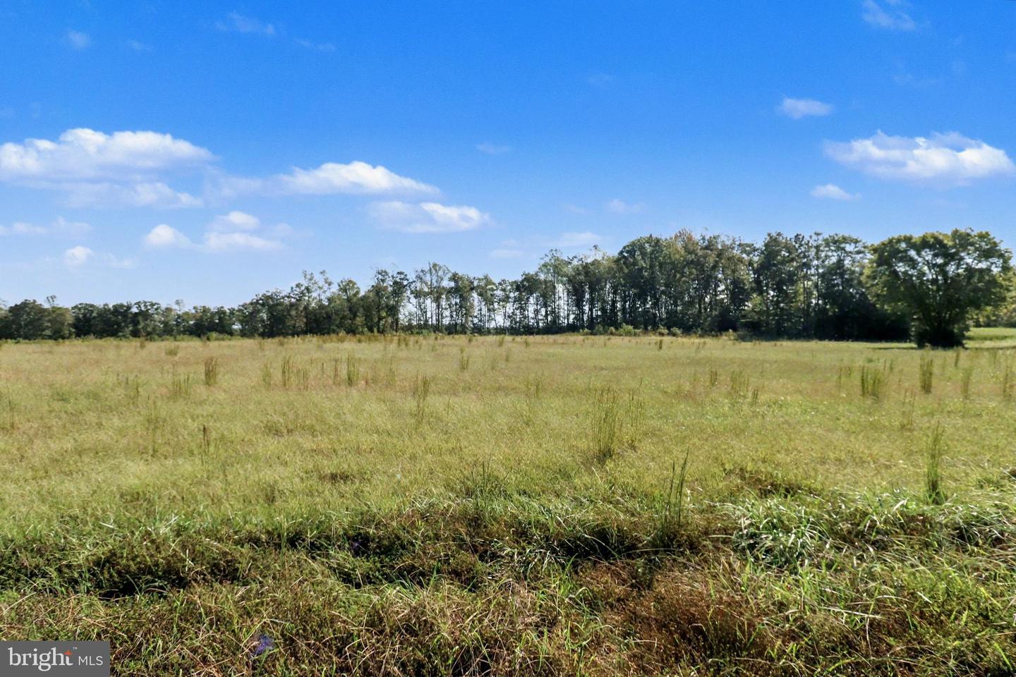 0 WHITE OAK DR, RUTHER GLEN, Virginia 22546, ,Farm,For sale,0 WHITE OAK DR,VACV2008948 MLS # VACV2008948