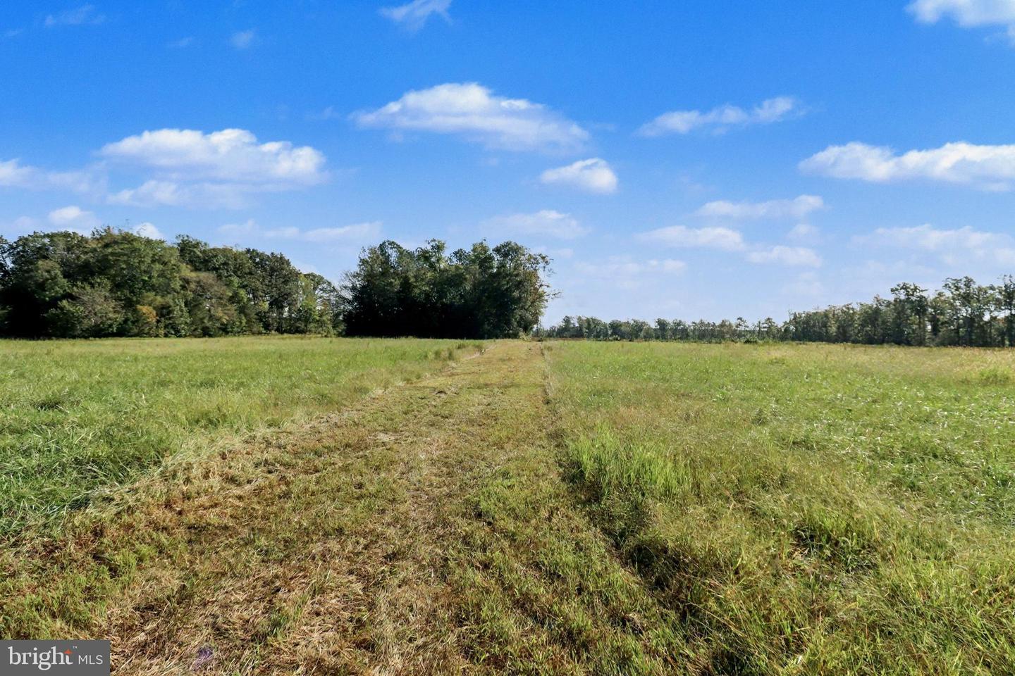 0 WHITE OAK DR, RUTHER GLEN, Virginia 22546, ,Farm,For sale,0 WHITE OAK DR,VACV2008948 MLS # VACV2008948