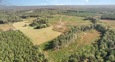 0 WHITE OAK DR, RUTHER GLEN, Virginia 22546, ,Farm,For sale,0 WHITE OAK DR,VACV2008948 MLS # VACV2008948