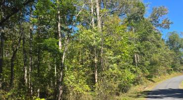 POORHOUSE RD, MADISON, Virginia 22727, ,Land,For sale,POORHOUSE RD,VAMA2002480 MLS # VAMA2002480