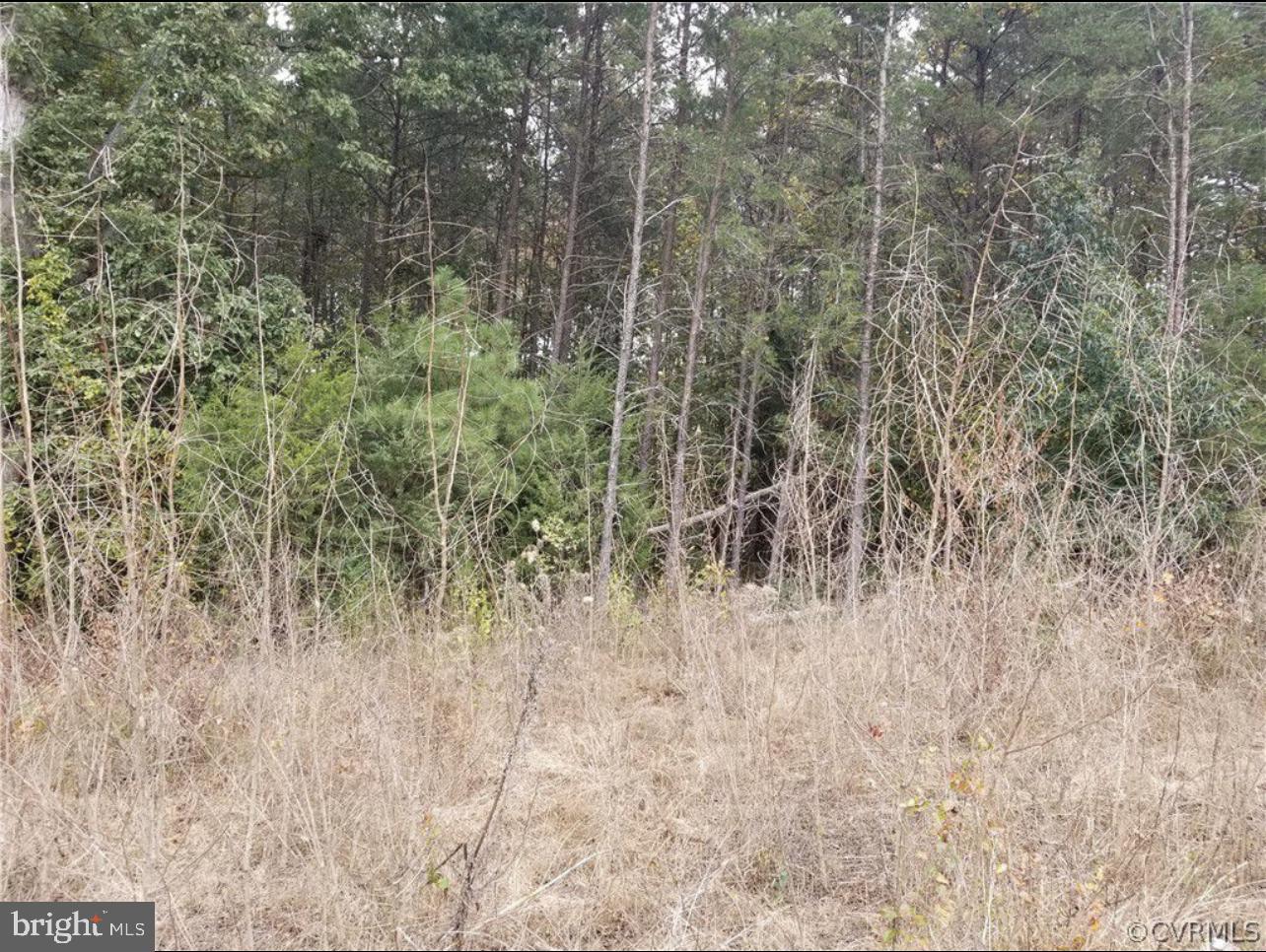 00 RICHMOND TURNPIKE, BOWLING GREEN, Virginia 22427, ,Land,For sale,00 RICHMOND TURNPIKE,VACV2008956 MLS # VACV2008956