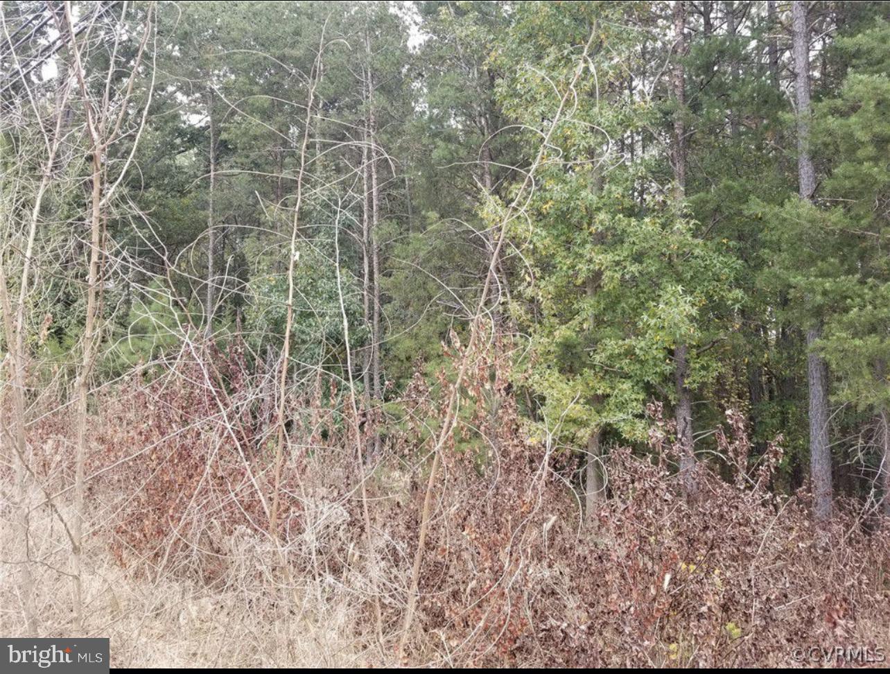 00 RICHMOND TURNPIKE, BOWLING GREEN, Virginia 22427, ,Land,For sale,00 RICHMOND TURNPIKE,VACV2008956 MLS # VACV2008956