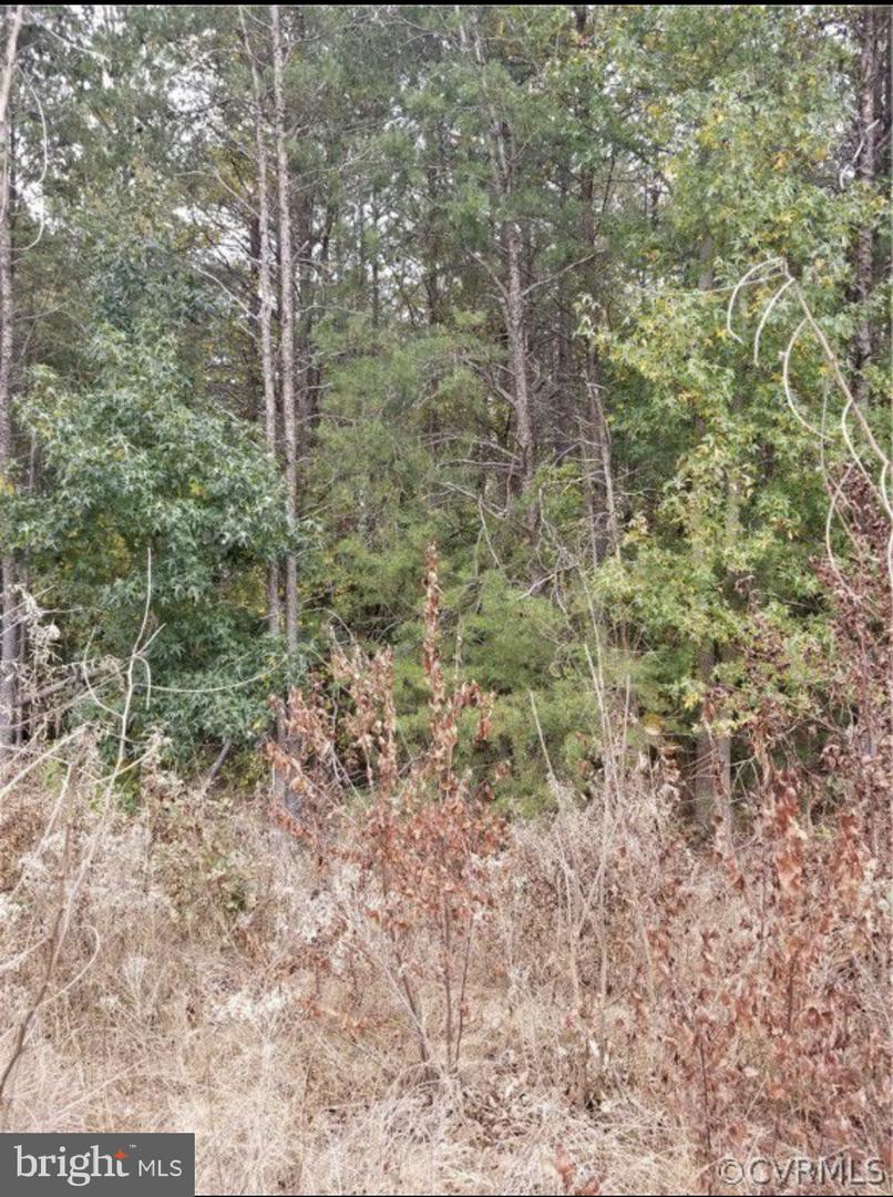 00 RICHMOND TURNPIKE, BOWLING GREEN, Virginia 22427, ,Land,For sale,00 RICHMOND TURNPIKE,VACV2008956 MLS # VACV2008956