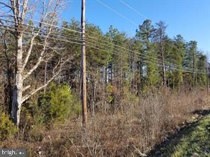 00 RICHMOND TURNPIKE, BOWLING GREEN, Virginia 22427, ,Land,For sale,00 RICHMOND TURNPIKE,VACV2008956 MLS # VACV2008956