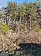 00 RICHMOND TURNPIKE, BOWLING GREEN, Virginia 22427, ,Land,For sale,00 RICHMOND TURNPIKE,VACV2008956 MLS # VACV2008956