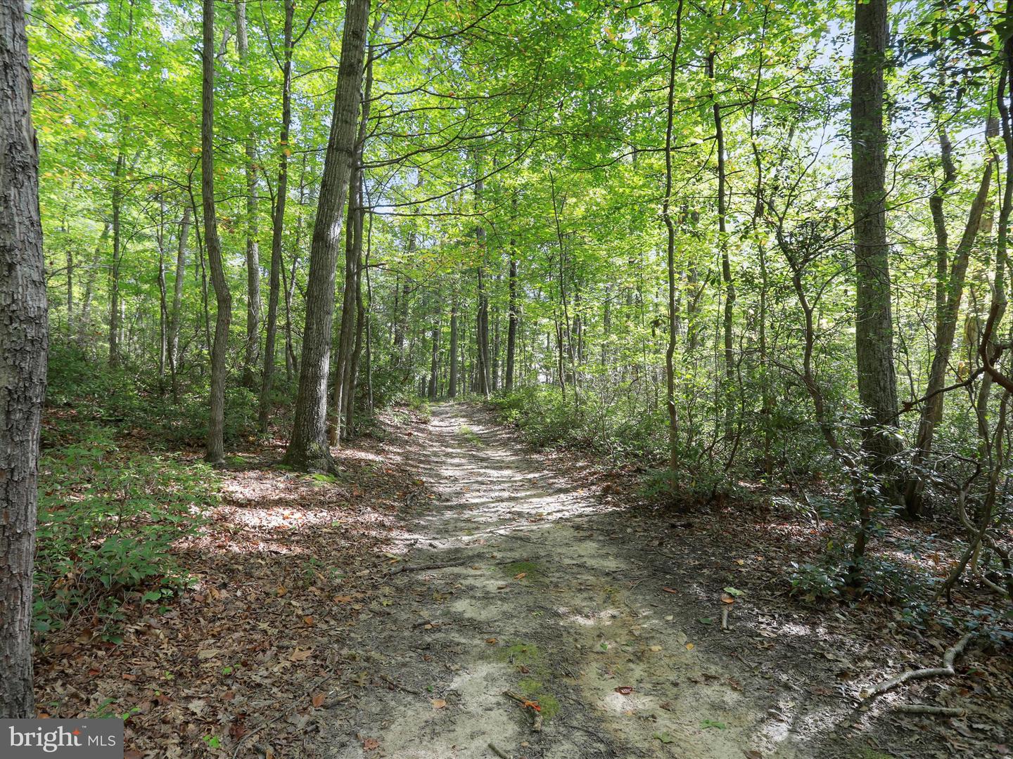 5065 COUNTRY CREEK LN, BROAD RUN, Virginia 20137, 3 Bedrooms Bedrooms, ,3 BathroomsBathrooms,Residential,For sale,5065 COUNTRY CREEK LN,VAFQ2017672 MLS # VAFQ2017672