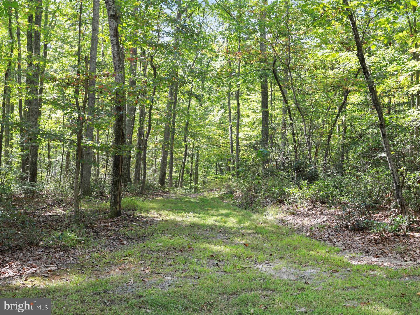 5065 COUNTRY CREEK LN, BROAD RUN, Virginia 20137, 3 Bedrooms Bedrooms, ,3 BathroomsBathrooms,Residential,For sale,5065 COUNTRY CREEK LN,VAFQ2017672 MLS # VAFQ2017672