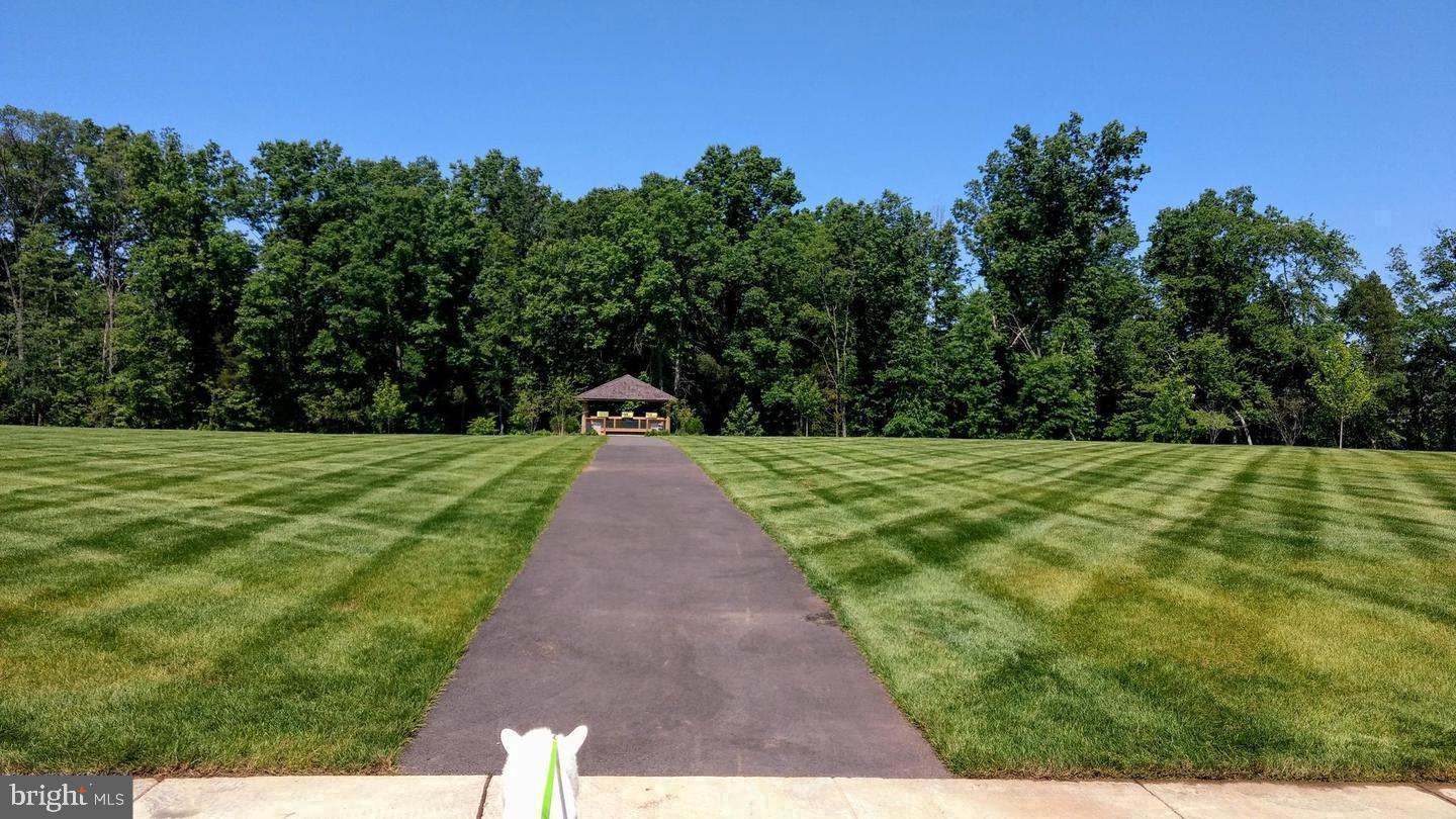 6679 BARTRAMS FOREST LN, HAYMARKET, Virginia 20169, 3 Bedrooms Bedrooms, ,2 BathroomsBathrooms,Residential,For sale,6679 BARTRAMS FOREST LN,VAPW2100728 MLS # VAPW2100728