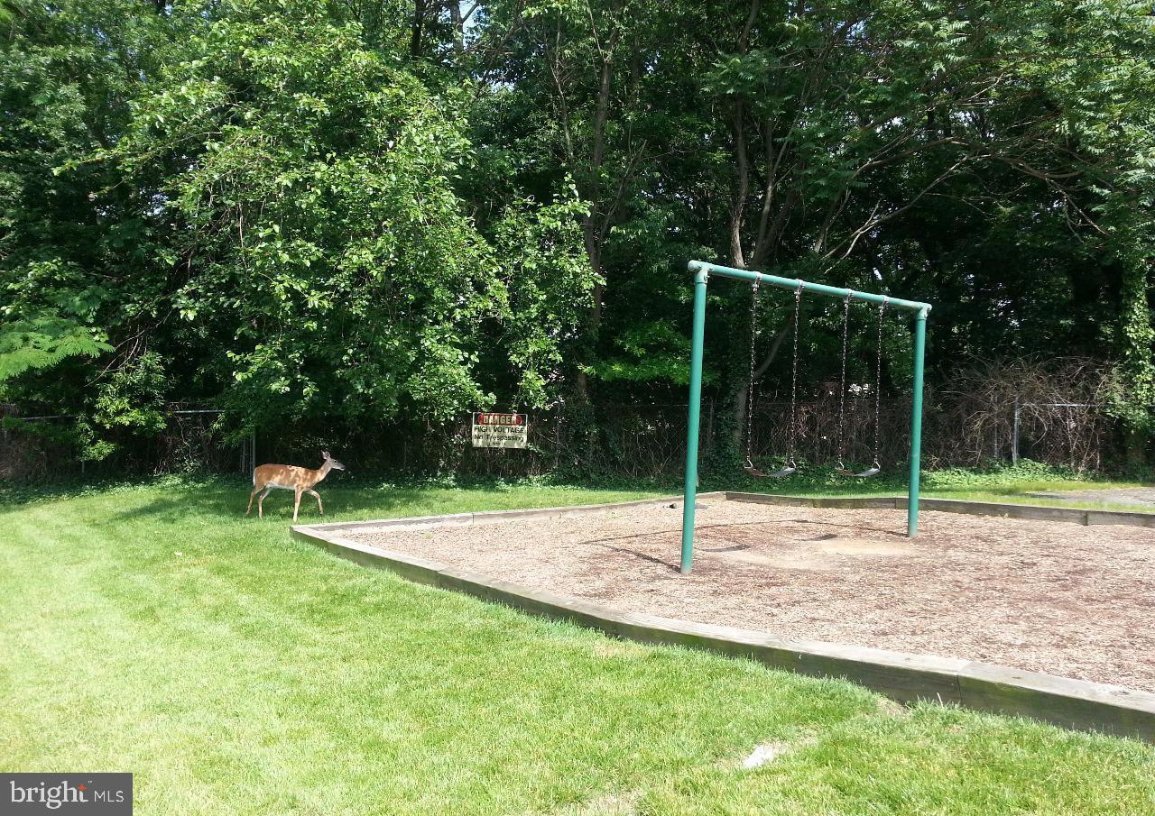 2609 WAGON DR #354, ALEXANDRIA, Virginia 22303, 2 Bedrooms Bedrooms, ,1 BathroomBathrooms,Residential,For sale,2609 WAGON DR #354,VAFX2265430 MLS # VAFX2265430 2609 WAGON DR #354, ALEXANDRIA, Virginia 22303, 2 Bedrooms Bedrooms, ,1 BathroomBathrooms,Residential,For sale,2609 WAGON DR #354,VAFX2265430 MLS # VAFX2265430