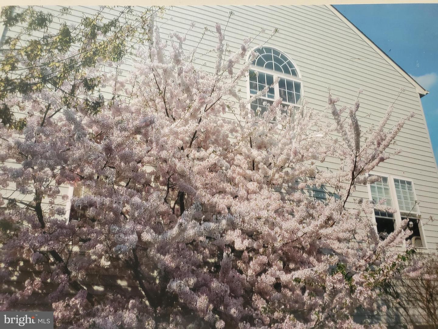 19176 SWEIG TER, LEESBURG, Virginia 20176, 4 Bedrooms Bedrooms, ,3 BathroomsBathrooms,Residential,For sale,19176 SWEIG TER,VALO2106746 MLS # VALO2106746