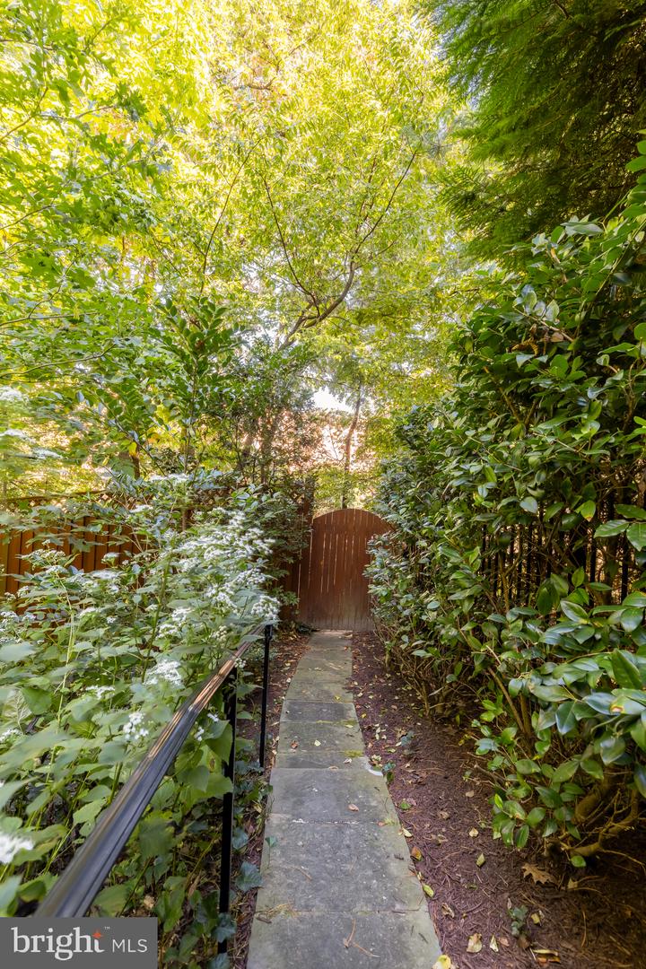 2813 29TH PL NW, WASHINGTON, District Of Columbia 20008, 4 Bedrooms Bedrooms, ,4 BathroomsBathrooms,Residential,For sale,2813 29TH PL NW,DCDC2224798 MLS # DCDC2224798