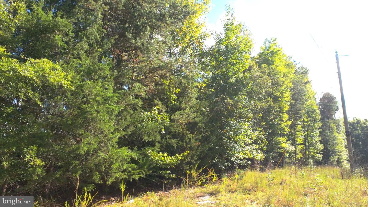 0 KENTS STORE WAY, KENTS STORE, Virginia 23084, ,Land,For sale,0 KENTS STORE WAY,VAFN2000514 MLS # VAFN2000514