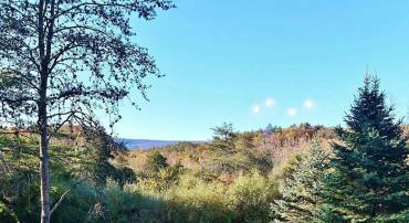 0 QUAIL RD, BASYE, Virginia 22810, ,Land,For sale,0 QUAIL RD,VASH2012726 MLS # VASH2012726