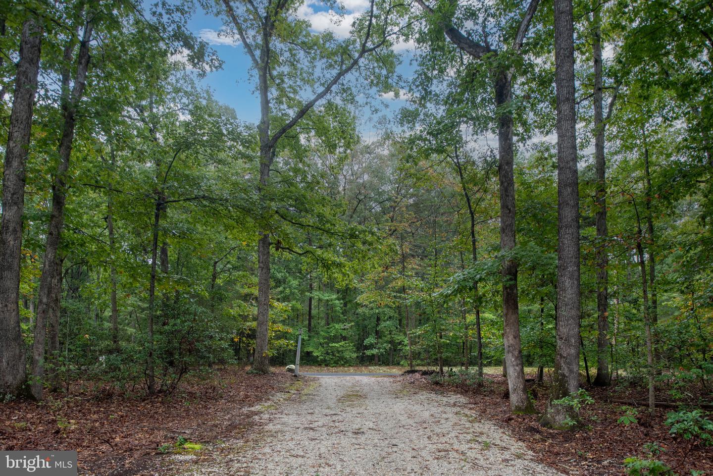 2 RIVER BLUFFS DR, FREDERICKSBURG, Virginia 22407, 4 Bedrooms Bedrooms, ,2 BathroomsBathrooms,Residential,For sale,2 RIVER BLUFFS DR,VASP2036636 MLS # VASP2036636