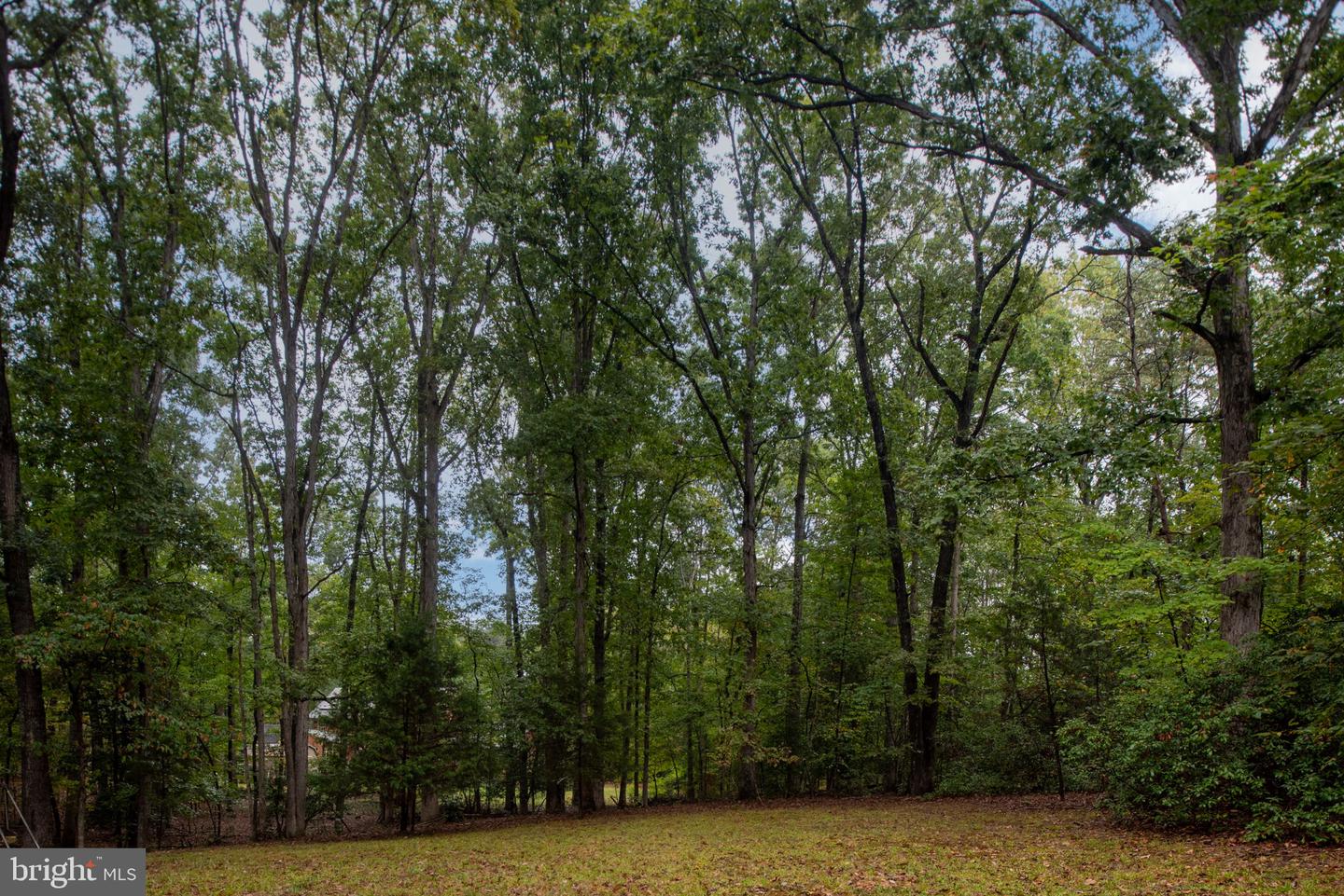 2 RIVER BLUFFS DR, FREDERICKSBURG, Virginia 22407, 4 Bedrooms Bedrooms, ,2 BathroomsBathrooms,Residential,For sale,2 RIVER BLUFFS DR,VASP2036636 MLS # VASP2036636