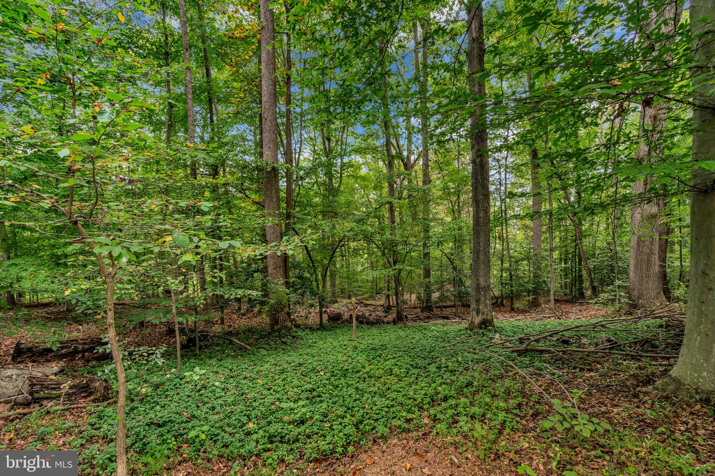 12215 HENDERSON RD, CLIFTON, Virginia 20124, 3 Bedrooms Bedrooms, ,3 BathroomsBathrooms,Residential,For sale,12215 HENDERSON RD,VAFX2272180 MLS # VAFX2272180