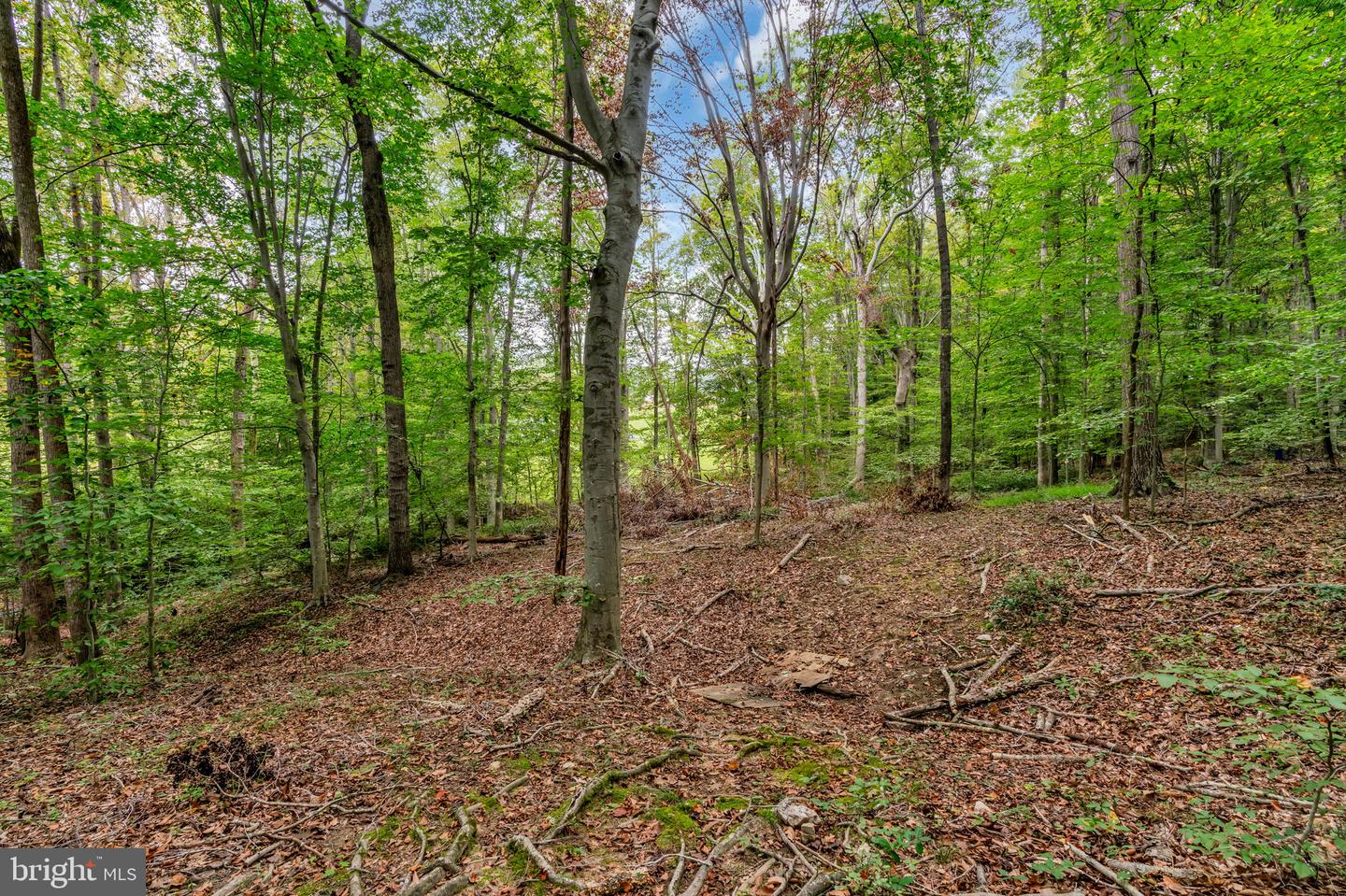 12215 HENDERSON RD, CLIFTON, Virginia 20124, 3 Bedrooms Bedrooms, ,3 BathroomsBathrooms,Residential,For sale,12215 HENDERSON RD,VAFX2272180 MLS # VAFX2272180