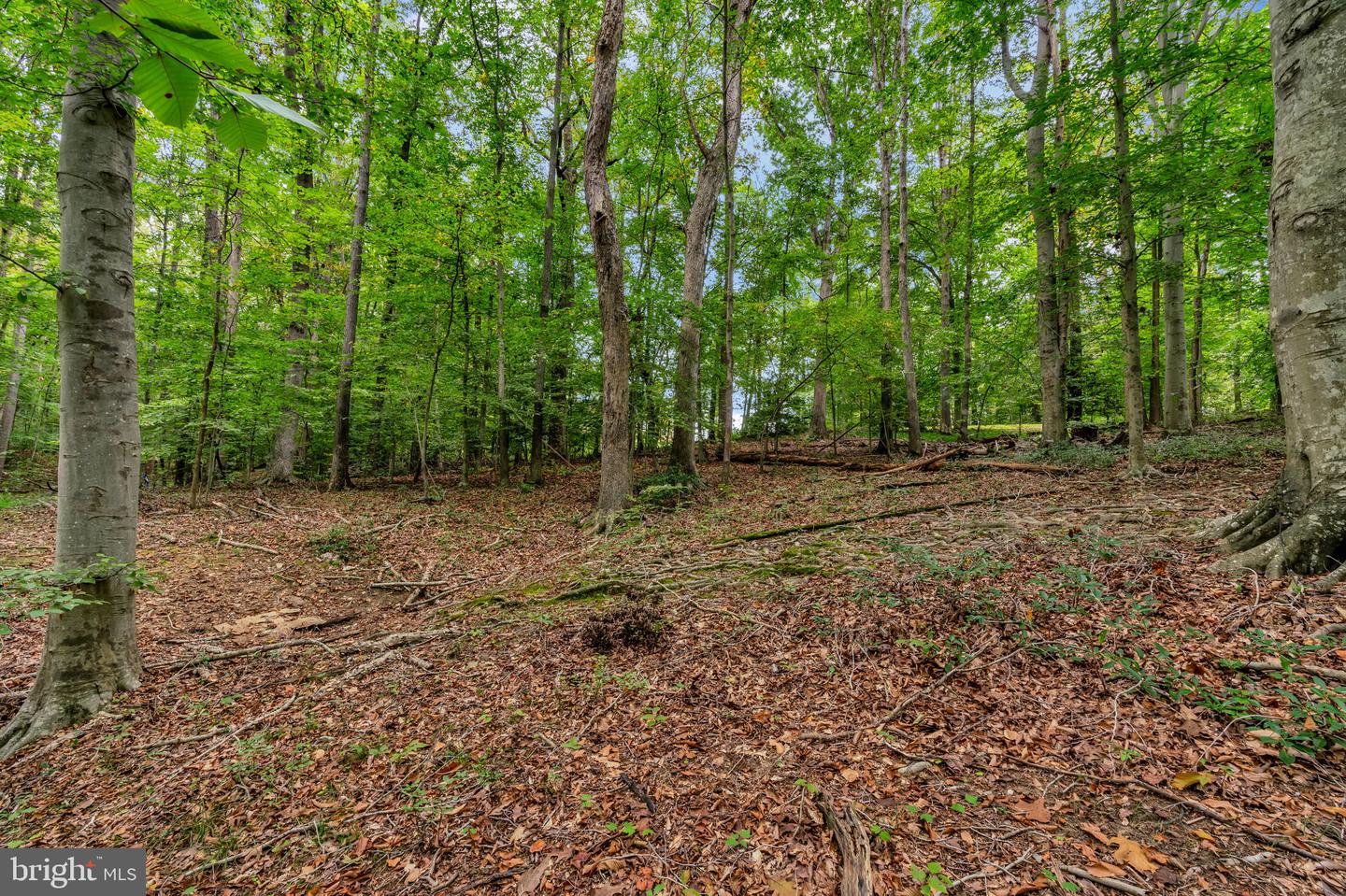 12215 HENDERSON RD, CLIFTON, Virginia 20124, 3 Bedrooms Bedrooms, ,3 BathroomsBathrooms,Residential,For sale,12215 HENDERSON RD,VAFX2272180 MLS # VAFX2272180